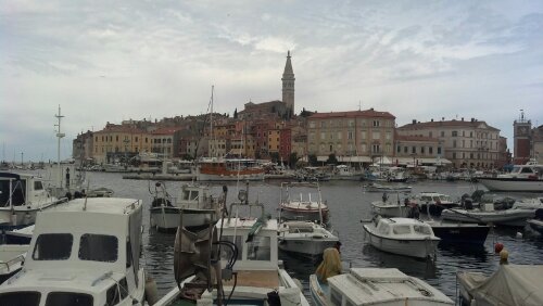 IMG_20130626_114307_073.jpg image